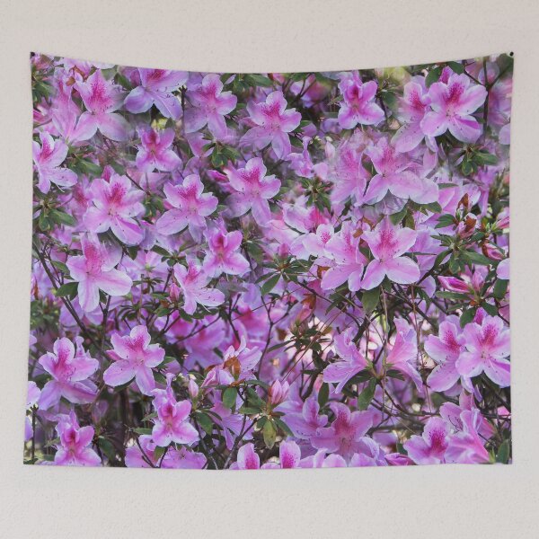 Item preview, Nature's Glory designed and sold by heatherfriedman.