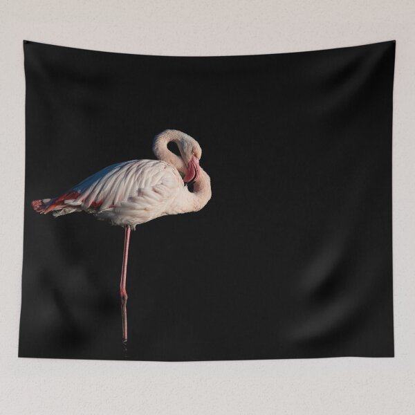 Item preview, Stylish and chic pink Flamingo designed and sold by DavidGabisPhoto.