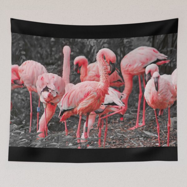 Item preview, Exotic Flamingo Birds Photo designed and sold by Bunmigraphics .