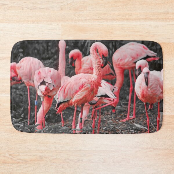 Item preview, Exotic Flamingo Birds Photo designed and sold by Bunmigraphics .