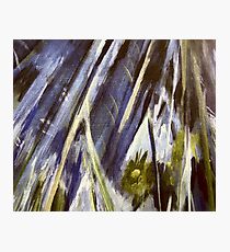 Grey Blue Bamboo Jungle Photographic Print