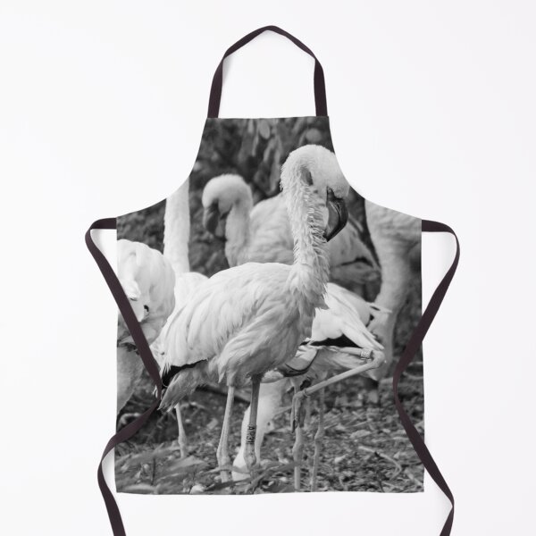 Item preview, Black and White Exotic Flamingo Birds Photo designed and sold by Bunmigraphics .