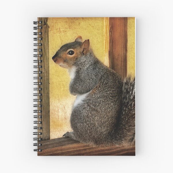 Item preview, I'm Sorry  designed and sold by Lois  Bryan.