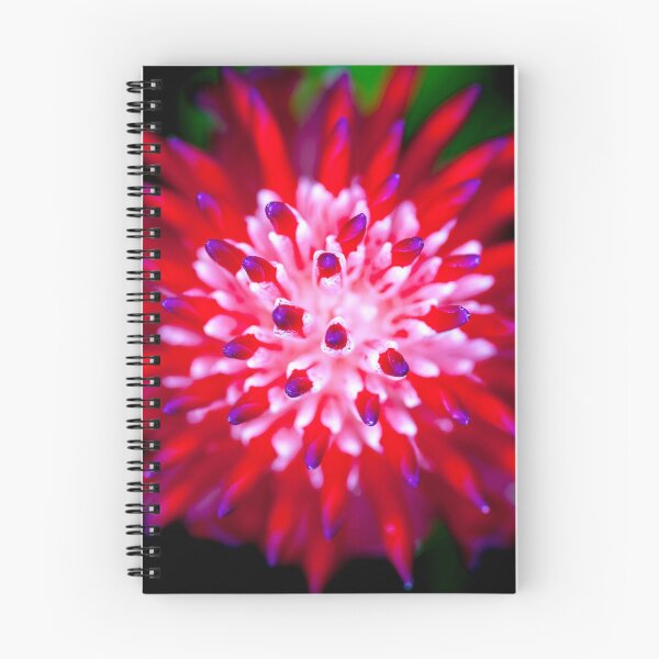 Item preview, Flowering Bromeliads Red Guzmania X108 designed and sold by RichFrancoCars.