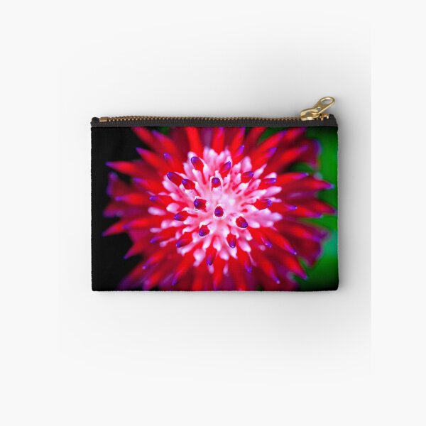 Item preview, Flowering Bromeliads Red Guzmania X108 designed and sold by RichFrancoCars.