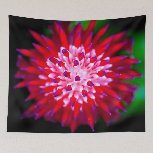 Item preview, Flowering Bromeliads Red Guzmania X108 designed and sold by RichFrancoCars.