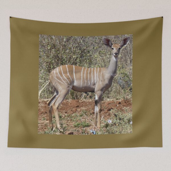 Item preview, Natural Environment of the Lesser Kudu designed and sold by annenambiro.