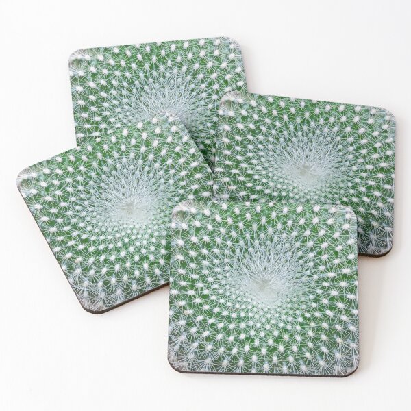 Item preview, Barrel Cactus Echinocactus Grusonii X102 designed and sold by RichFrancoCars.