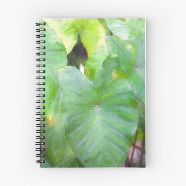 Item preview, Elephant Ear Plant Colocasia Bok Tower X100 designed and sold by RichFrancoCars.