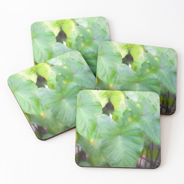 Item preview, Elephant Ear Plant Colocasia Bok Tower X100 designed and sold by RichFrancoCars.