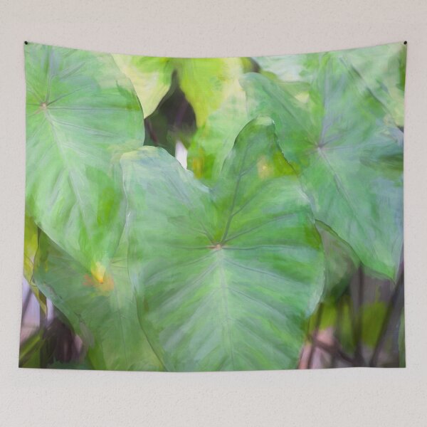 Item preview, Elephant Ear Plant Colocasia Bok Tower X100 designed and sold by RichFrancoCars.