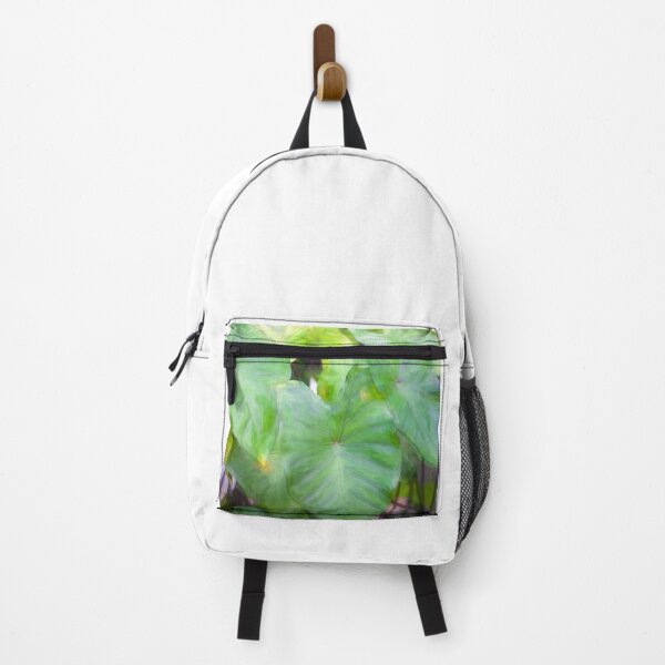 Item preview, Elephant Ear Plant Colocasia Bok Tower X100 designed and sold by RichFrancoCars.