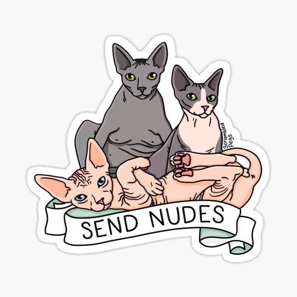 Item preview, Sphynx Cats Send Nudes designed and sold by scrambledpegs.