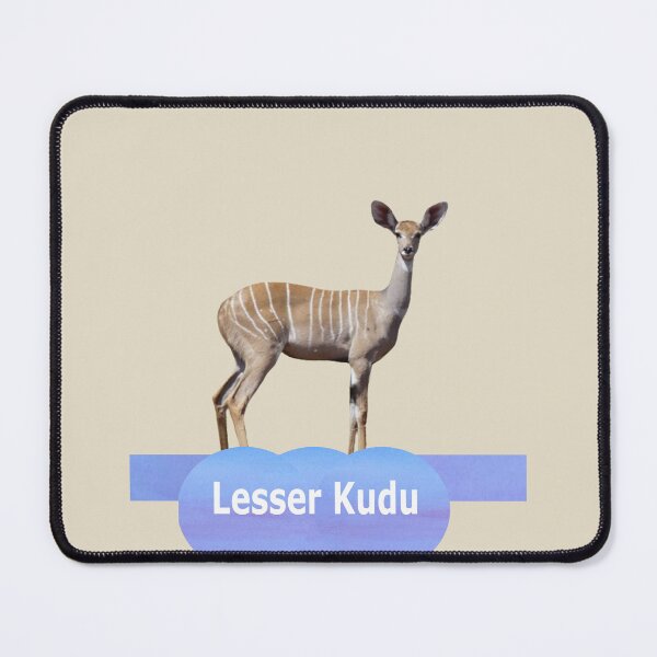 Item preview, Humble Lesser Kudu designed and sold by annenambiro.