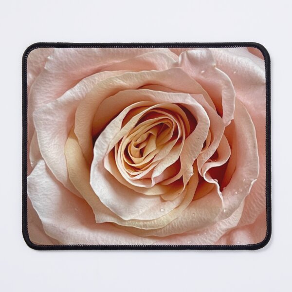 Item preview, A rose is a rose designed and sold by ricoflinn.
