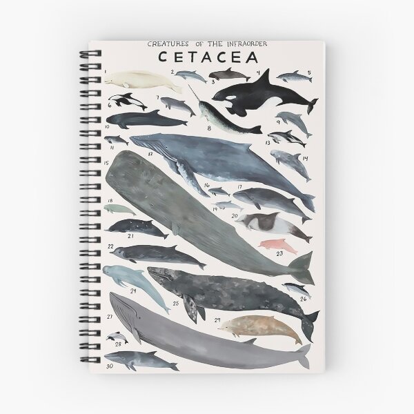 Artikelvorschau, Bestellen Sie Cetacea entworfen und verkauft von PatronesKawai.