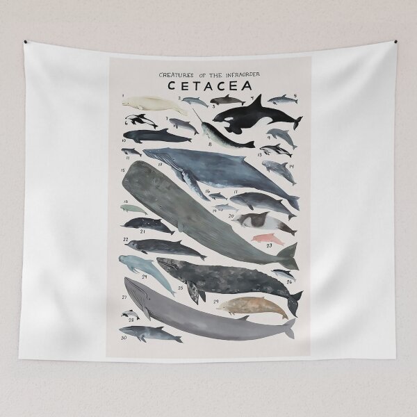 Item preview, Order Cetacea designed and sold by PatronesKawai.