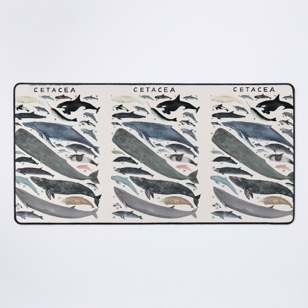 Item preview, Order Cetacea designed and sold by PatronesKawai.