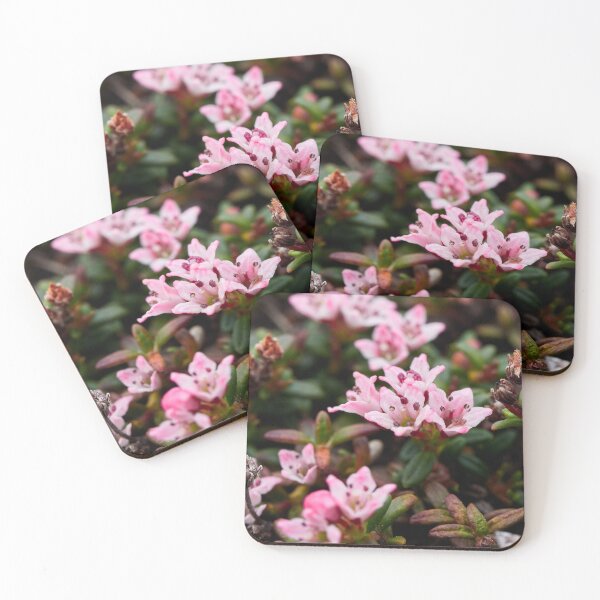 Item preview, Pinks. Creeping Azalea. Kiilopaa designed and sold by Jouko Lehto Photography.