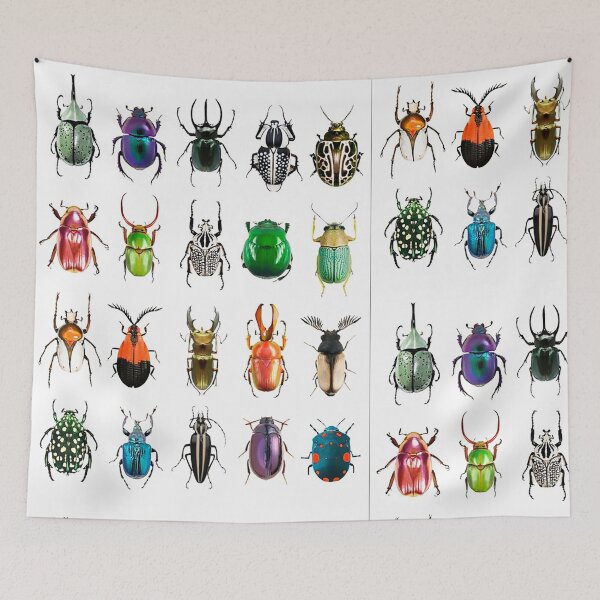 Item preview, Order Coleoptera designed and sold by PatronesKawai.