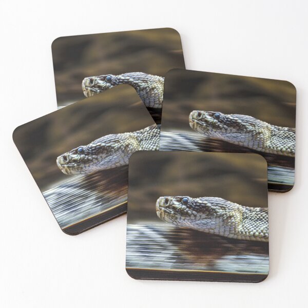 Item preview, Snake Slithering designed and sold by Fotograffiebyg.