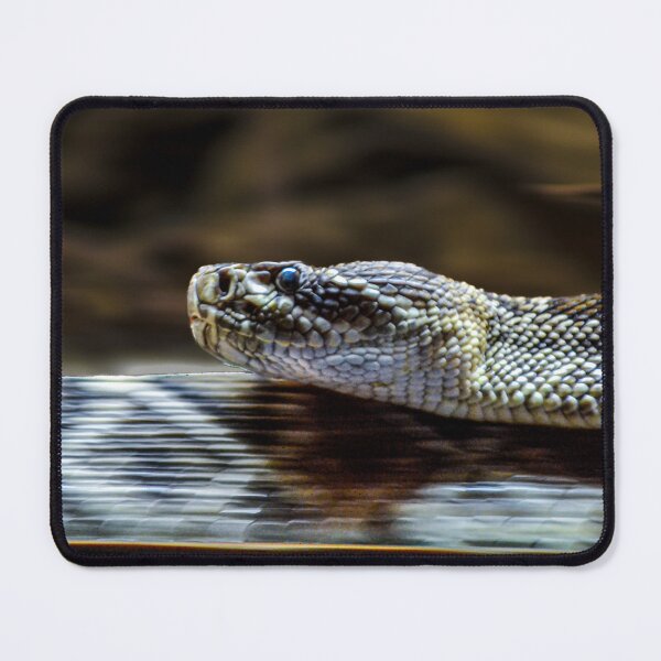 Item preview, Snake Slithering designed and sold by Fotograffiebyg.