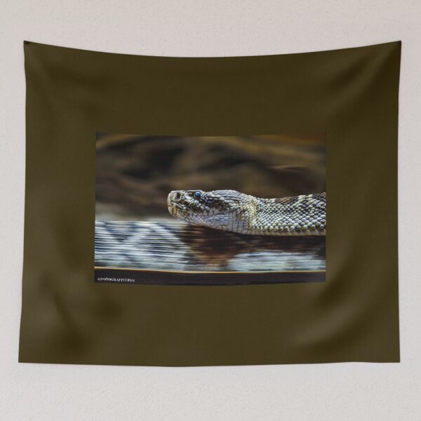 Item preview, Snake Slithering designed and sold by Fotograffiebyg.