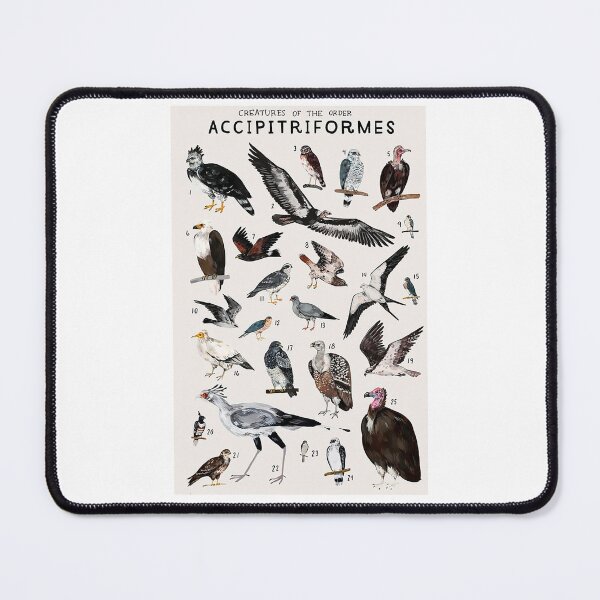 Item preview, Order Accipitriformes designed and sold by PatronesKawai.
