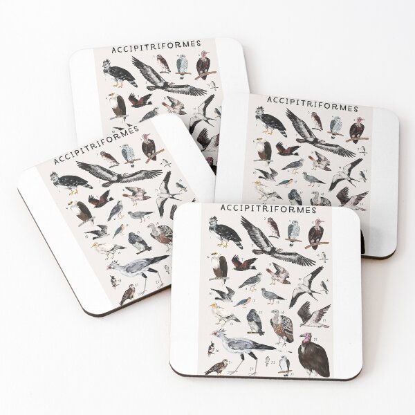 Item preview, Order Accipitriformes designed and sold by PatronesKawai.