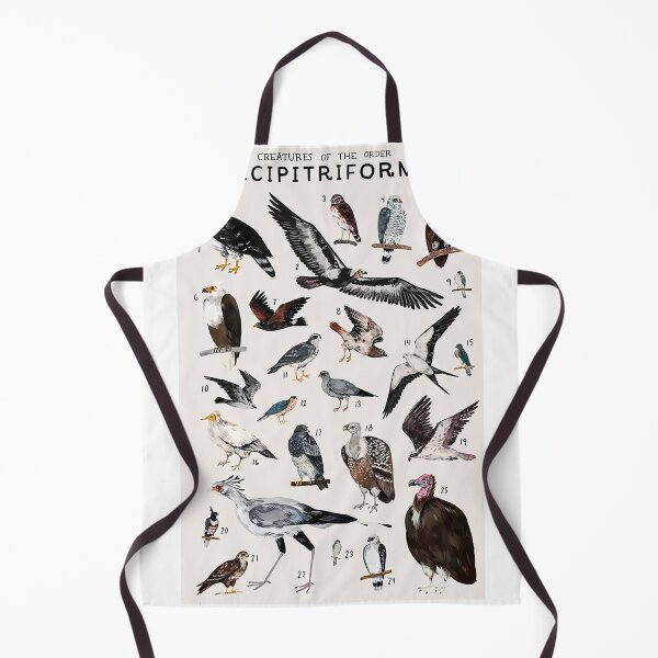 Item preview, Order Accipitriformes designed and sold by PatronesKawai.