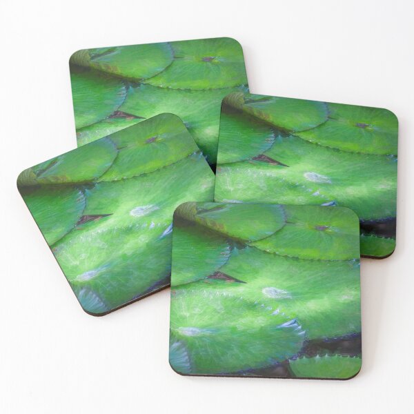 Item preview, Giant Water Lily Pads Bok Tower X100 designed and sold by RichFrancoCars.