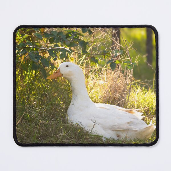 Item preview, Pekin designed and sold by Idleduck.