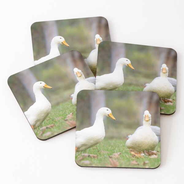 Item preview, Pekin designed and sold by Idleduck.