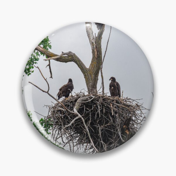 Item preview, Family of Eagles designed and sold by FoxandtheMoon.