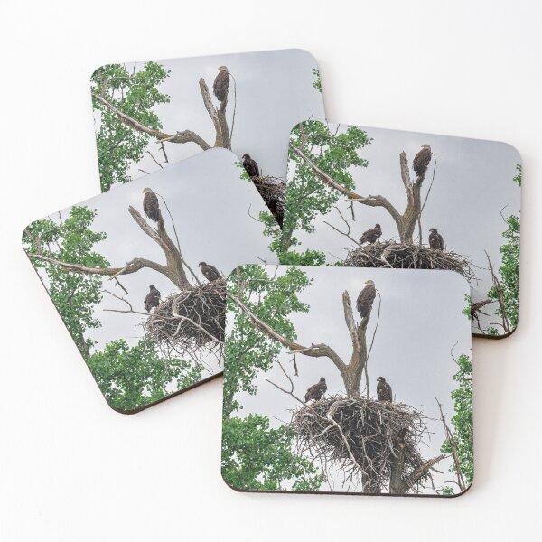 Item preview, Family of Eagles designed and sold by FoxandtheMoon.