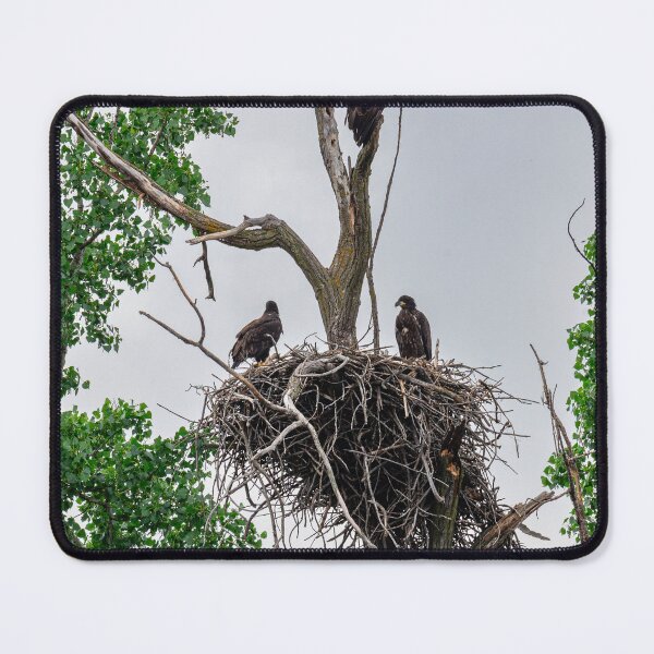 Item preview, Family of Eagles designed and sold by FoxandtheMoon.