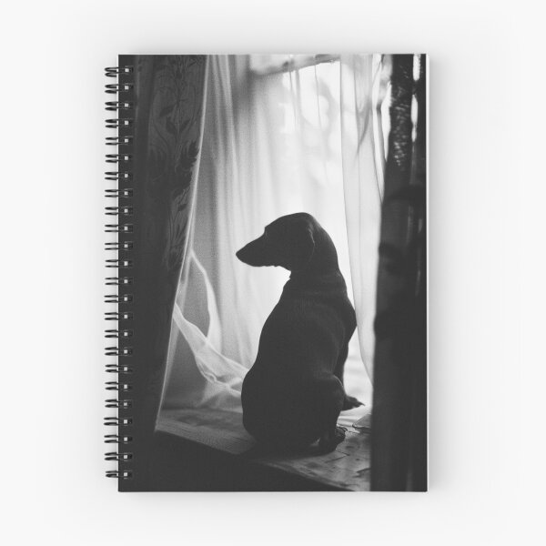 Item preview, Dachshund designed and sold by adamjohnsson.