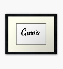 Genesis Framed Print