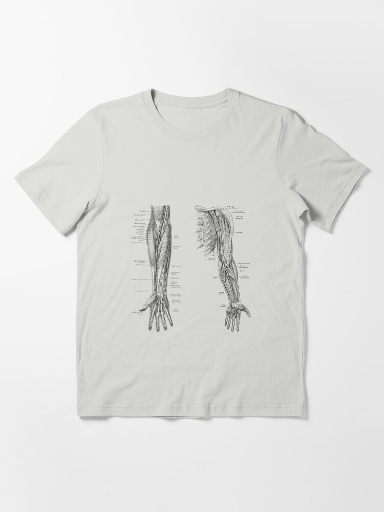 Arm and Hand Diagram - Dual View - Vintage Anatomy | Essential T-Shirt