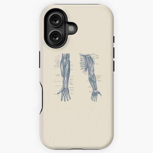 Item preview, Arm and Hand Diagram - Dual View - Vintage Anatomy designed and sold by VAposters.