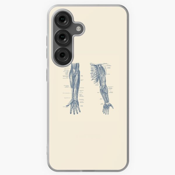 Item preview, Arm and Hand Diagram - Dual View - Vintage Anatomy designed and sold by VAposters.