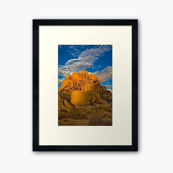 Item preview, Joshua Tree Golden Light designed and sold by photosbyflood.