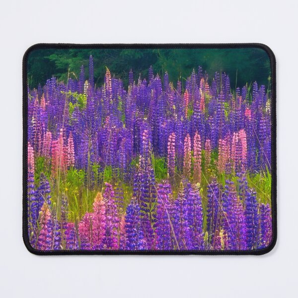 Item preview, Lupines Paradise designed and sold by Alla Gill.