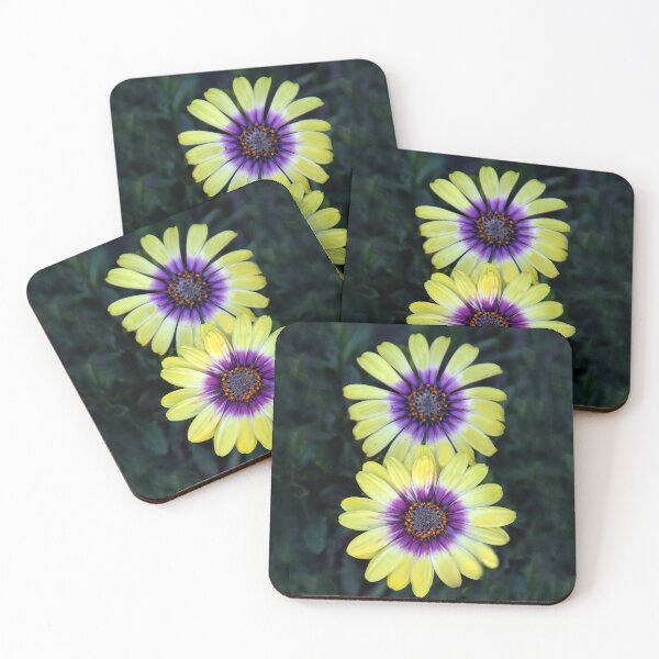 Item preview, Dazzling Daisies designed and sold by heatherfriedman.