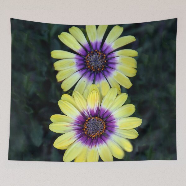 Item preview, Dazzling Daisies designed and sold by heatherfriedman.