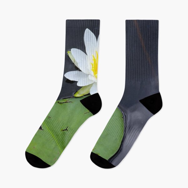 Item preview, Lone Water Lily designed and sold by bjtomiko.