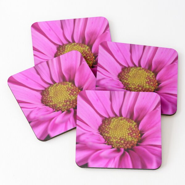 Item preview, Pretty in Pink designed and sold by Autumn Seas Photography.