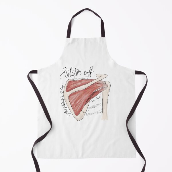 Item preview, Rotator Cuff Posterior View Anatomy Diagram designed and sold by stellaerosae.