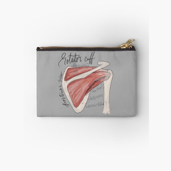 Item preview, Rotator Cuff Posterior View Anatomy Diagram designed and sold by stellaerosae.