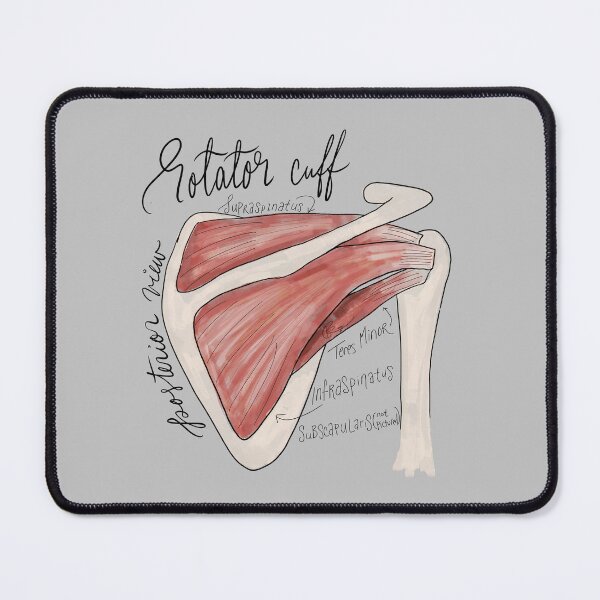 Item preview, Rotator Cuff Posterior View Anatomy Diagram designed and sold by stellaerosae.